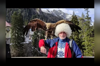 Блоги глухих