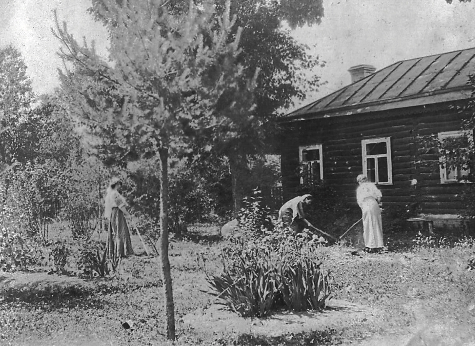Сад в Собольках. 1900-е гг. 
